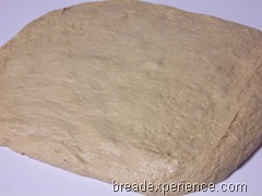 sprouted-wheat-bread 023