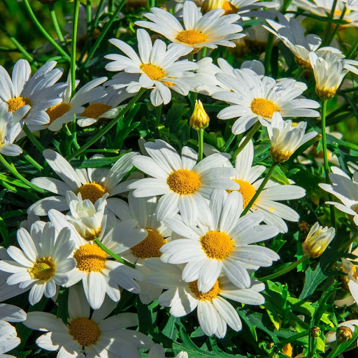 Hd-172658-ascw172658