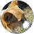 C Gr C Gr