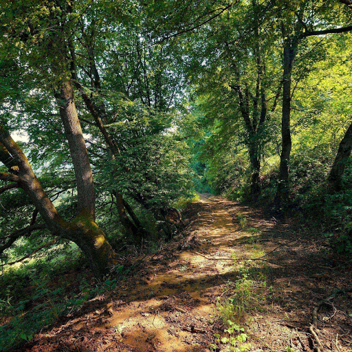 Hd-165341-ascw165341