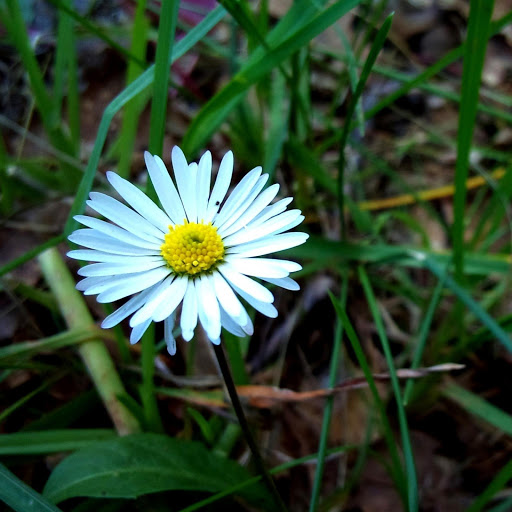 Hd-162576-ascw162576