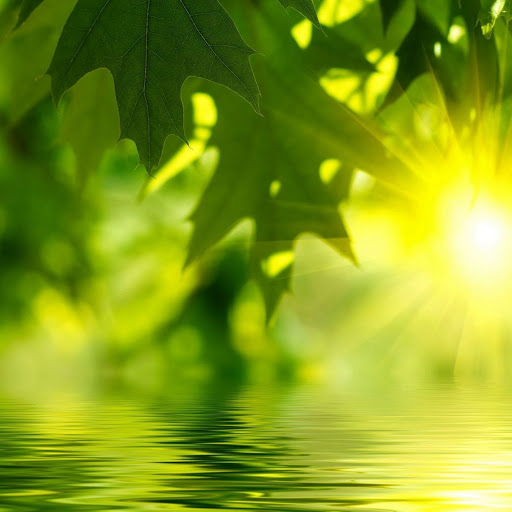 Hd-168003-ascw168003