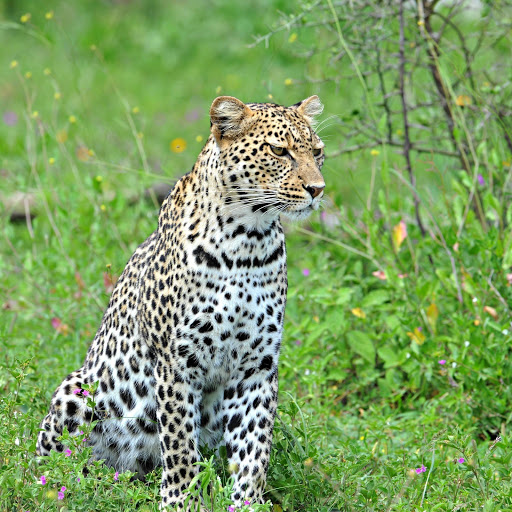 Hd-161002-ascw161002