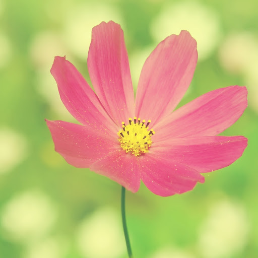 Hd-172724-ascw172724