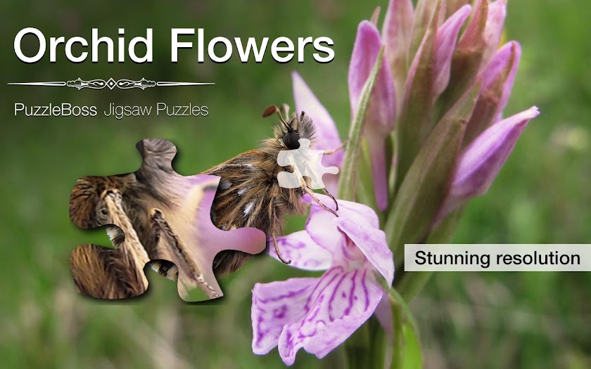 Jigsaw Puzzles: Orchid Flowers Screen 1