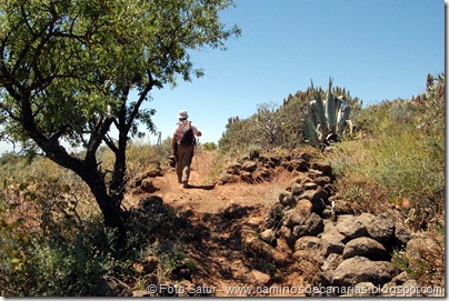 6053 Los Cascajales-Guayadeque 6053 Los Cascajales-Guayadeque