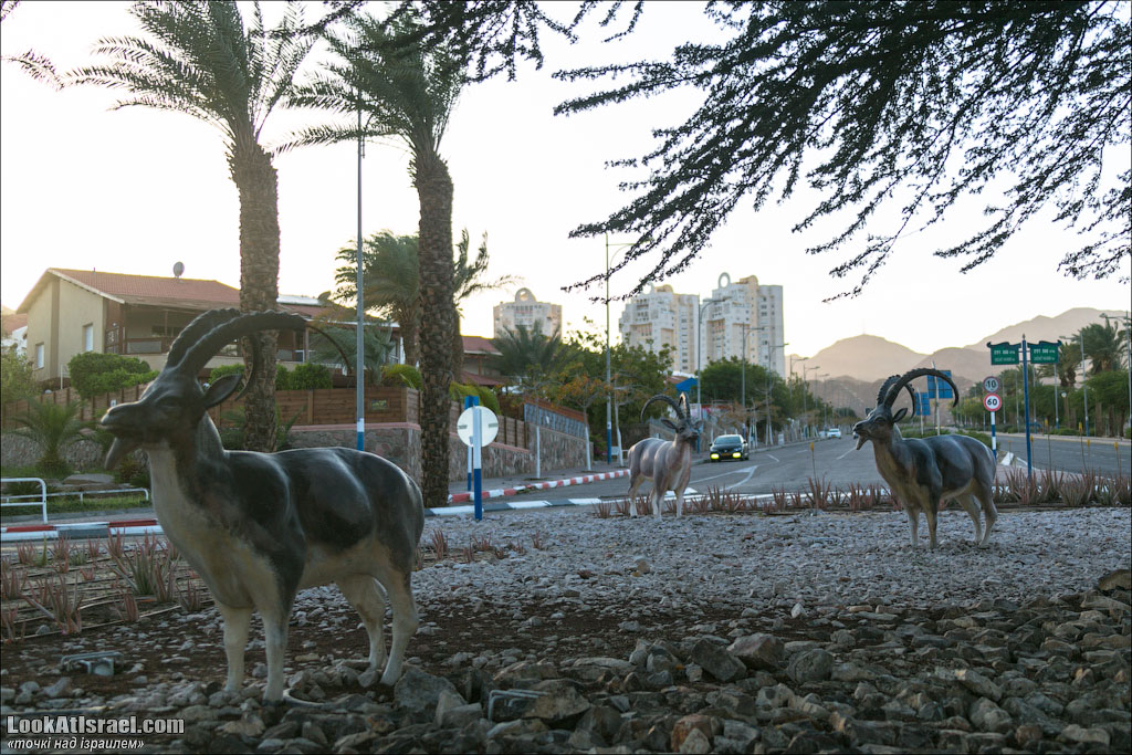 Проект блога LookAtIsrael.com о городах Израиля. Эйлат