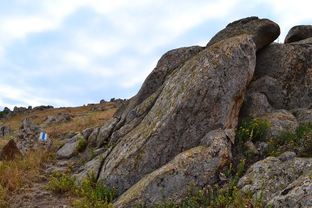 [DSC_58513.jpg]