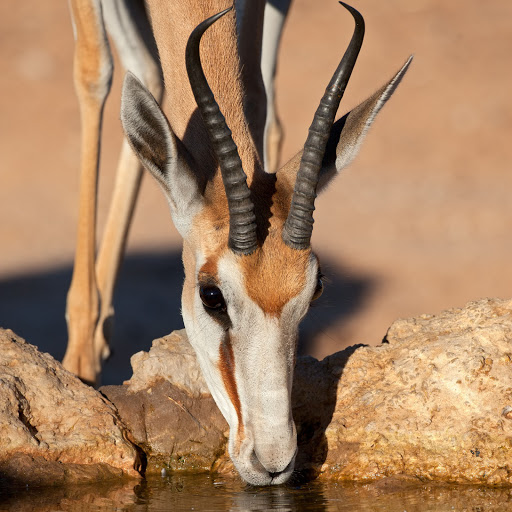 Hd-156193-ascw156193