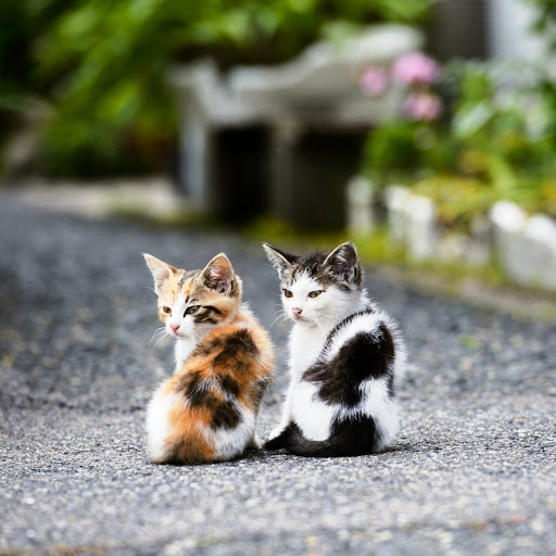 Hd-142744-ascw142744