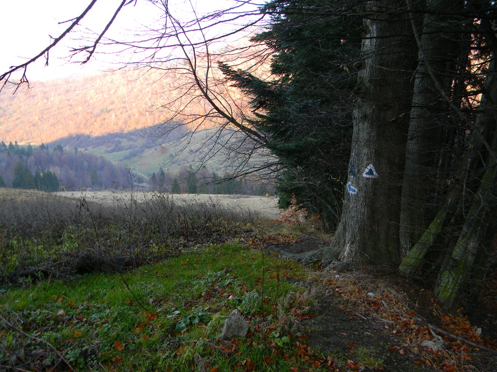 [DSCN05703.jpg]
