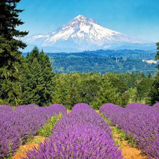 Hd-141162-ascw141162