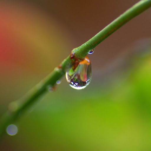 Hd-150294-ascw150294