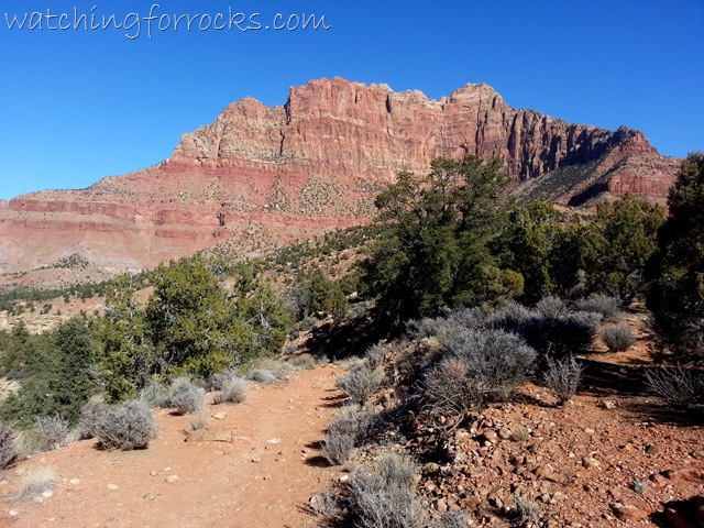 [Chinle%2520Trail%2520Zion%2520013%255B8%255D.jpg]