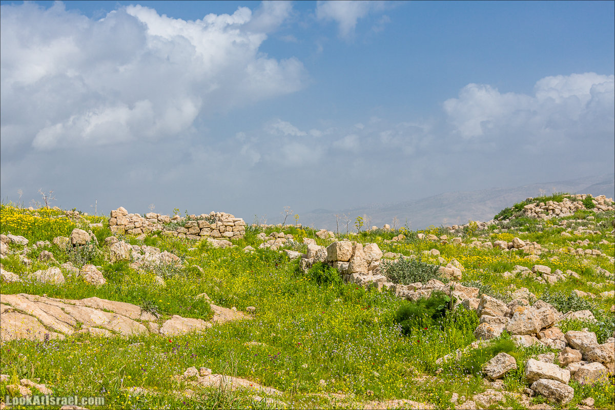 LookAtIsrael.com - Ручей (нахаль) Талкид | Nahal Talkid | נחל תלקיד
