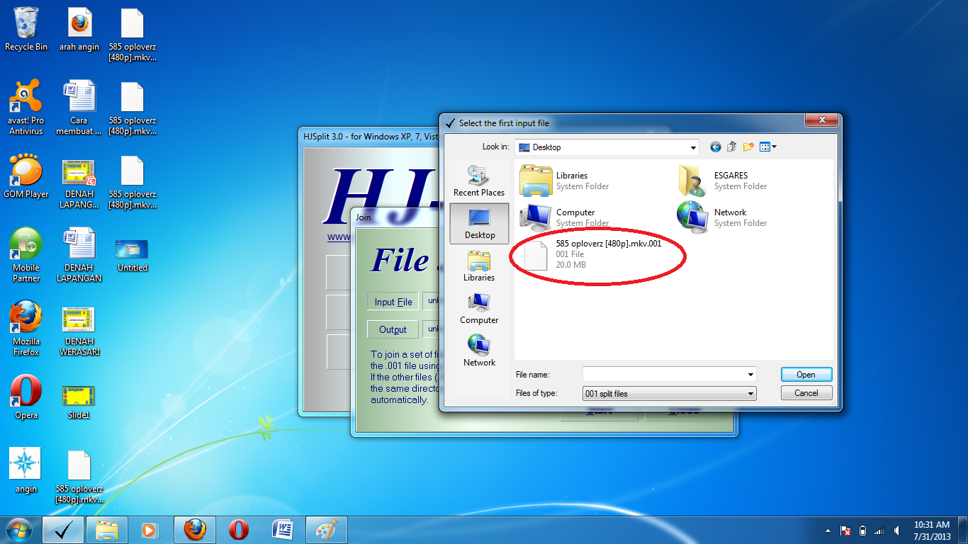 Open HJSplite Open HJSplite