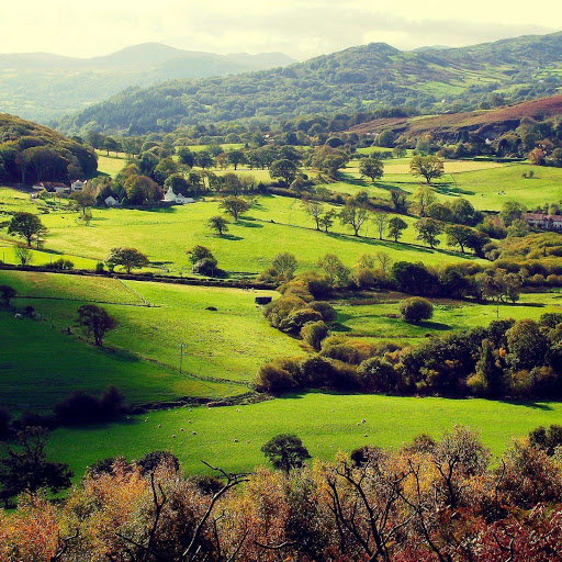 Hd-154078-ascw154078