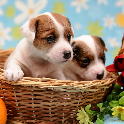 Hd-147580-ascw147580