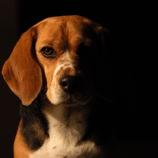 Hd-174766-ascw174766