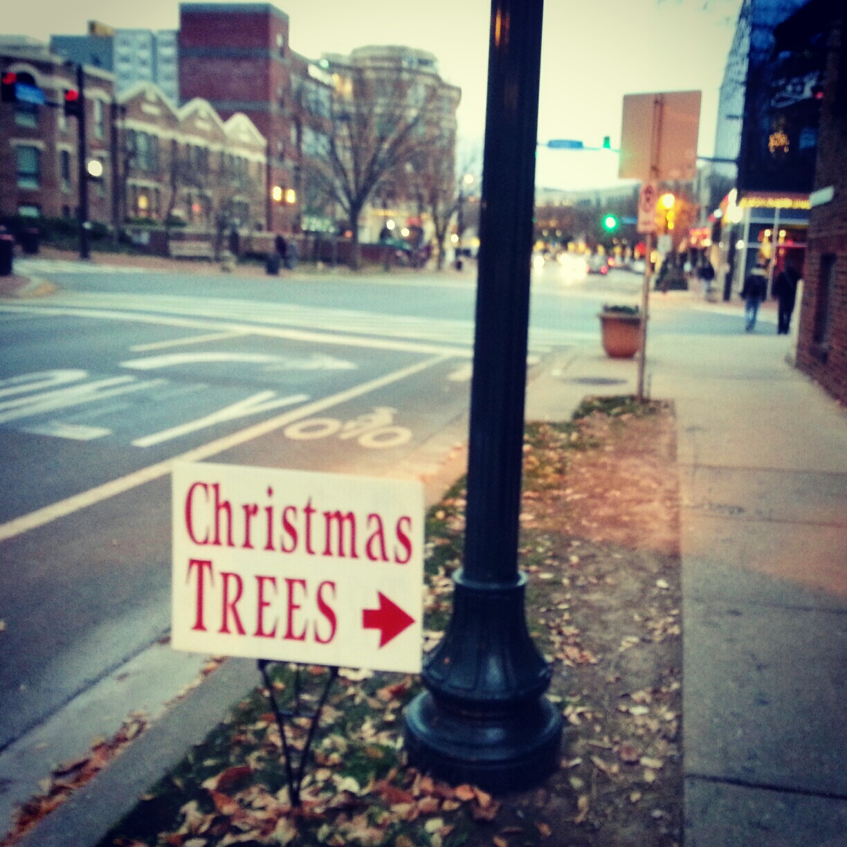 Robert Dyer Bethesda Row WHERE TO BUY CHRISTMAS TREES IN DOWNTOWN