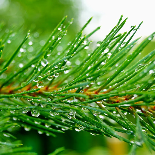 Hd-153581-ascw153581