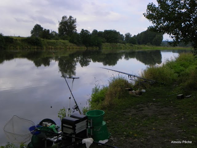 La Loire à Balbigny photo #394