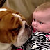 Funny Cats & Dogs Love Babies Compilation 2014
