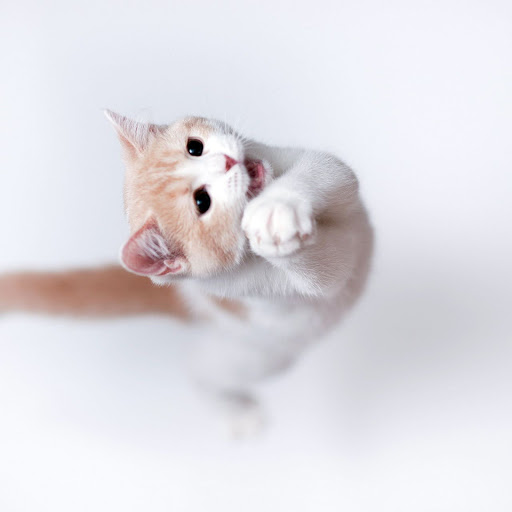 Hd-155461-ascw155461