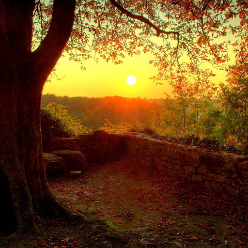 Hd-137690-ascw137690