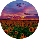 Stephanie Perezs profile picture