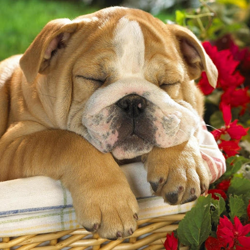 Hd-175891-ascw175891