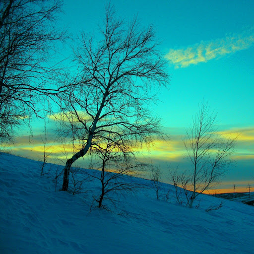 Hd-132293-ascw132293