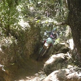 Pogli - By Alessandro Bottani