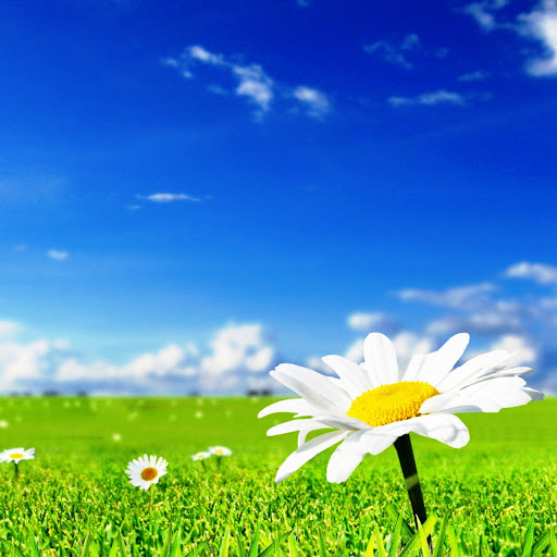 Hd-174929-ascw174929