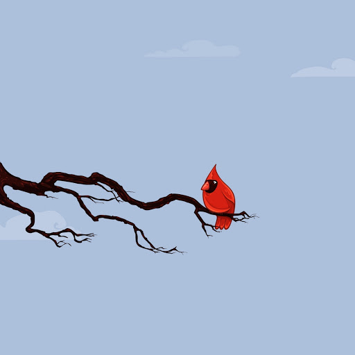 Hd-152093-ascw152093