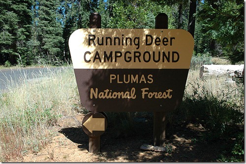 Running Deer Sign