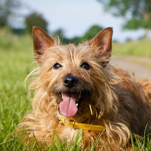 Hd-173562-ascw173562