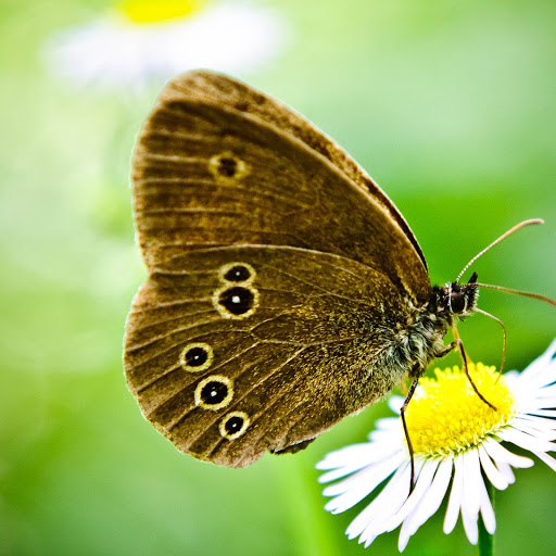 Hd-152828-ascw152828