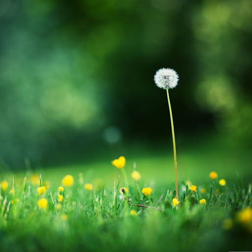 Hd-153503-ascw153503