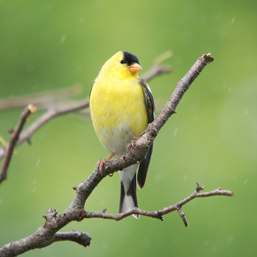 Hd-181292-ascw181292