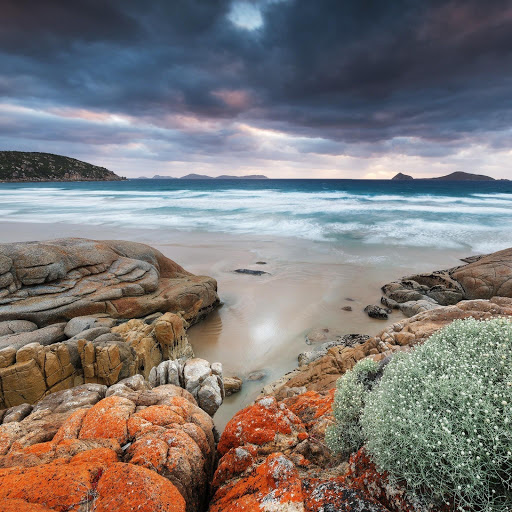 Hd-142008-ascw142008