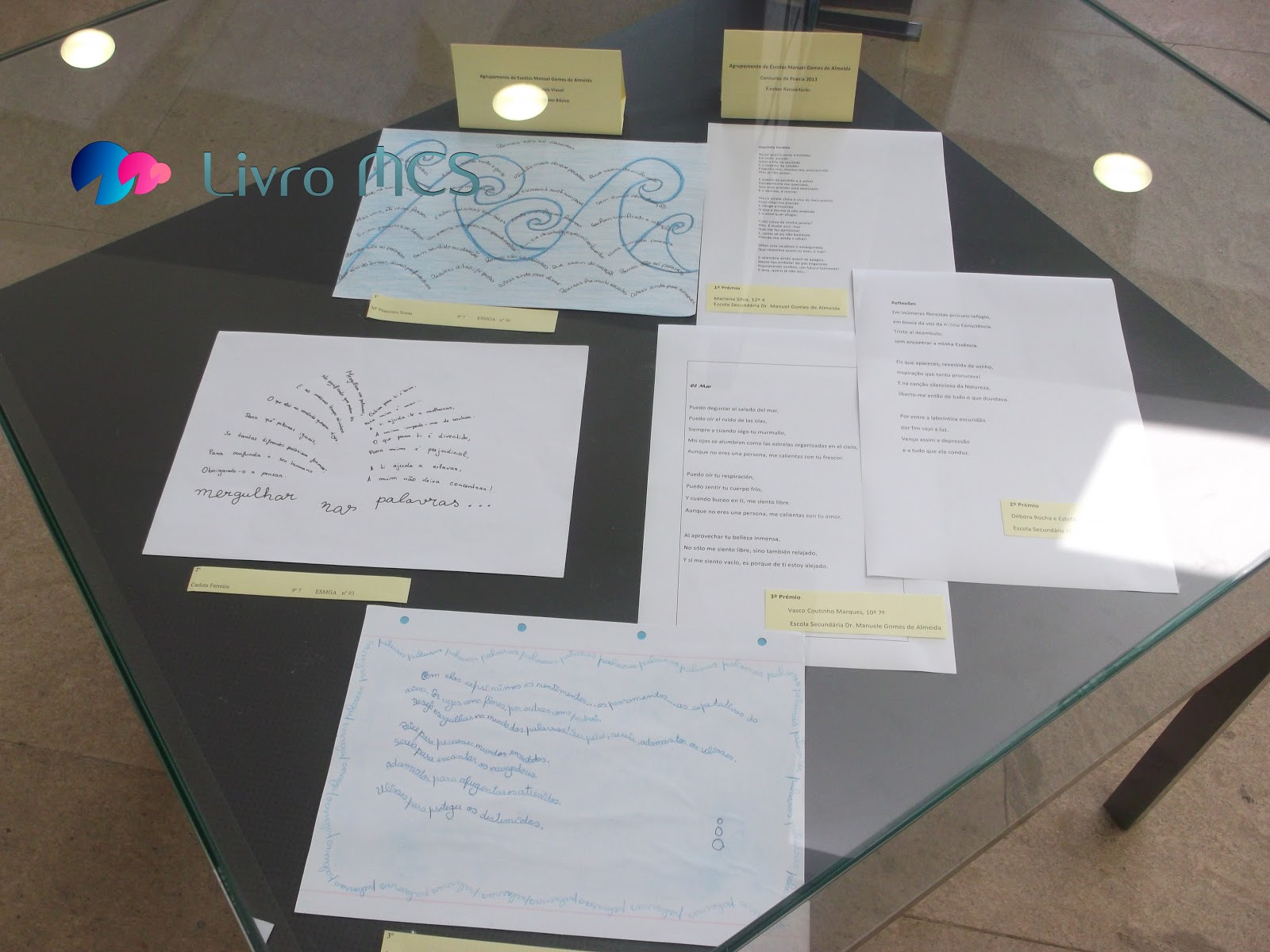 [Blog%2520Gazeta%2520de%2520Espinho003Livro%2520MCS%255B2%255D.jpg]