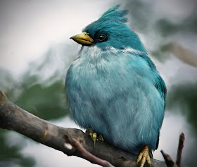 Real Time Angry Birds