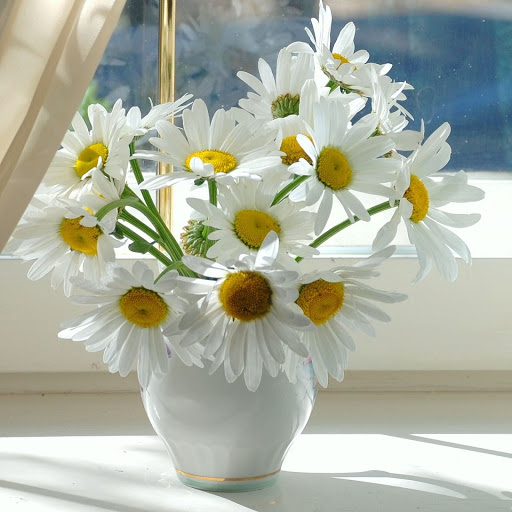 Hd-154737-ascw154737