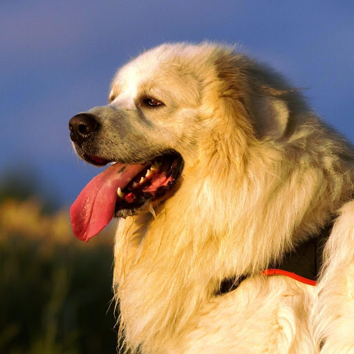 Hd-148319-ascw148319