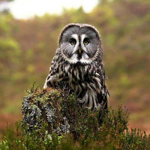 Hd-152504-ascw152504