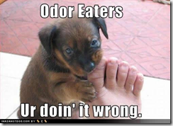 dog-odor-eaters (Small)