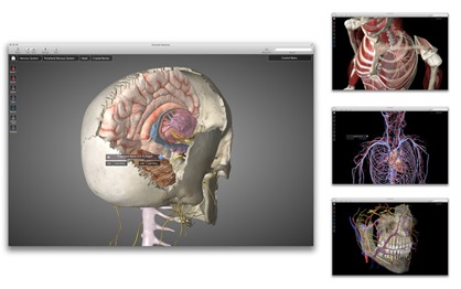 3D Anatomy Medical App