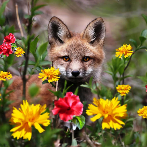 Hd-152693-ascw152693