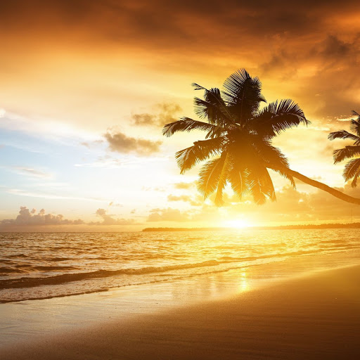 Hd-169770-ascw169770